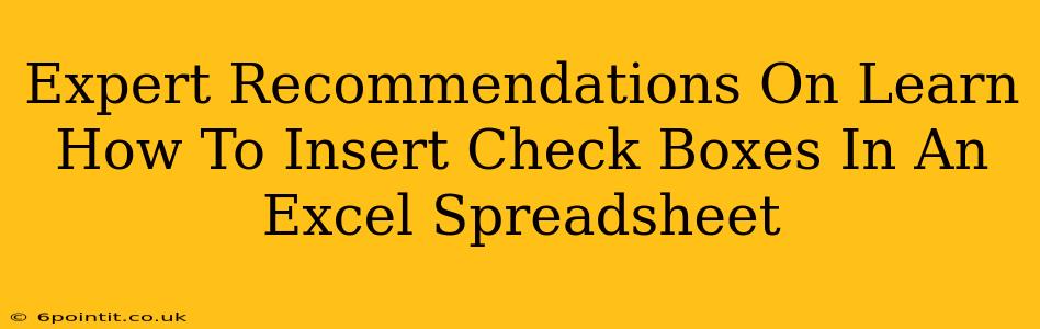 Expert Recommendations On Learn How To Insert Check Boxes In An Excel Spreadsheet