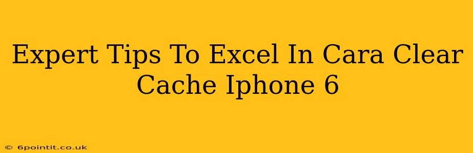 Expert Tips To Excel In Cara Clear Cache Iphone 6