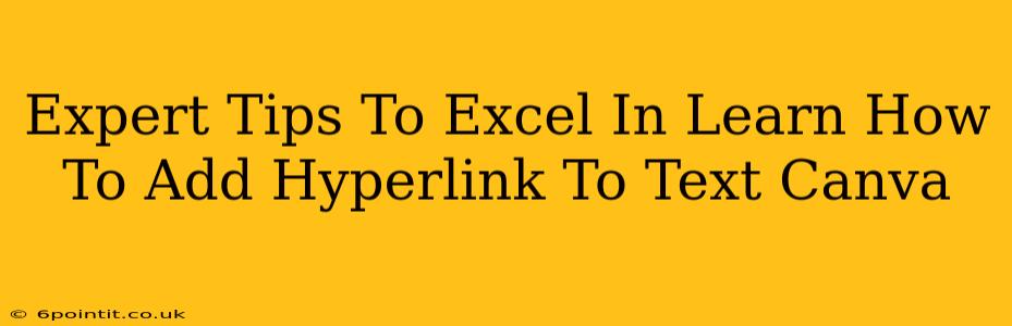 Expert Tips To Excel In Learn How To Add Hyperlink To Text Canva