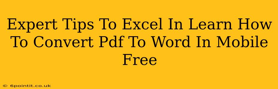 Expert Tips To Excel In Learn How To Convert Pdf To Word In Mobile Free