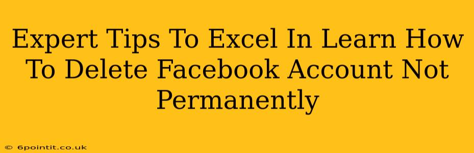 Expert Tips To Excel In Learn How To Delete Facebook Account Not Permanently