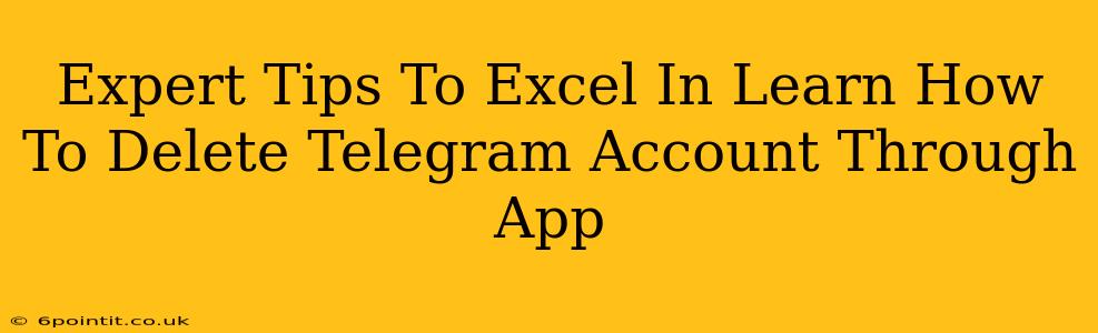 Expert Tips To Excel In Learn How To Delete Telegram Account Through App