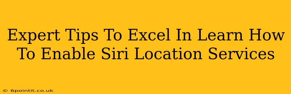 Expert Tips To Excel In Learn How To Enable Siri Location Services