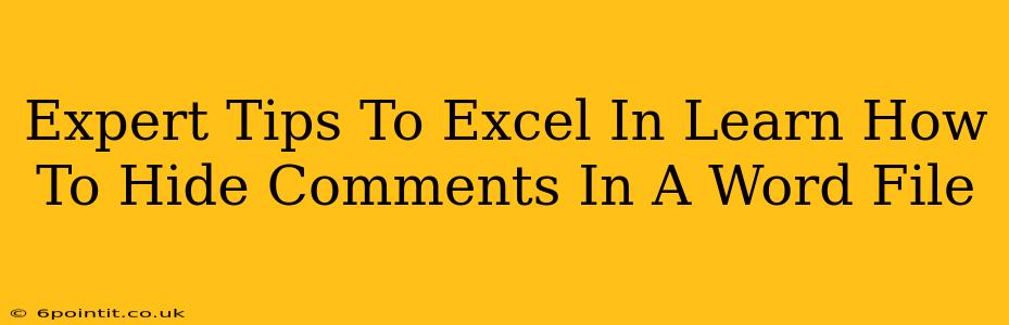 Expert Tips To Excel In Learn How To Hide Comments In A Word File