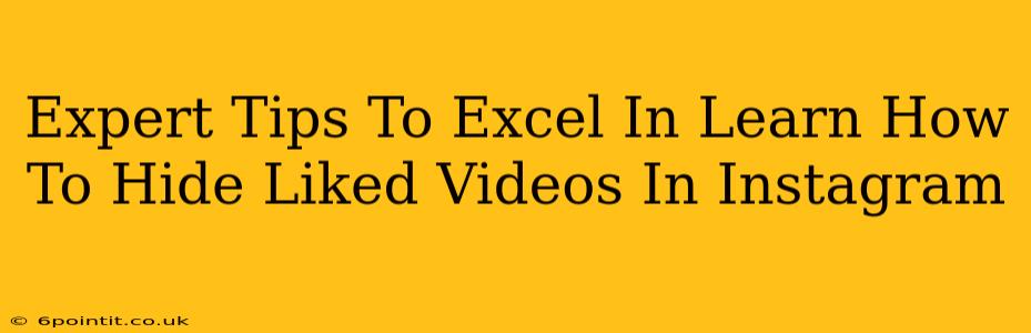 Expert Tips To Excel In Learn How To Hide Liked Videos In Instagram