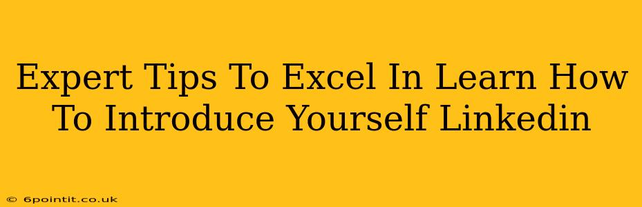 Expert Tips To Excel In Learn How To Introduce Yourself Linkedin