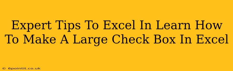 Expert Tips To Excel In Learn How To Make A Large Check Box In Excel