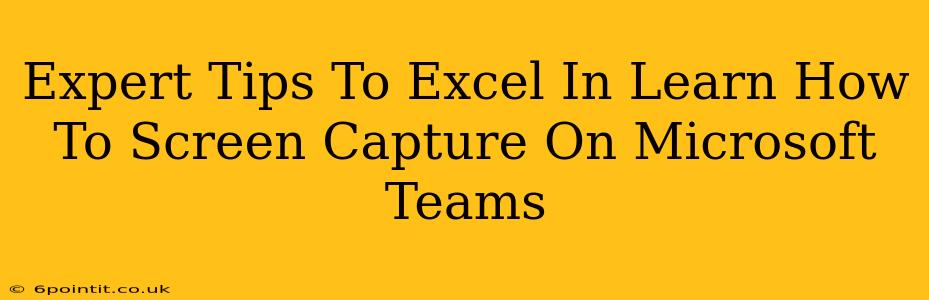 Expert Tips To Excel In Learn How To Screen Capture On Microsoft Teams