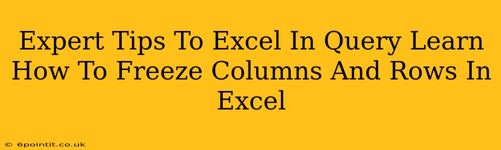 Expert Tips To Excel In Query Learn How To Freeze Columns And Rows In Excel