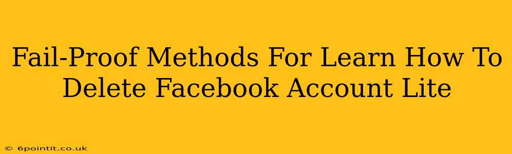 Fail-Proof Methods For Learn How To Delete Facebook Account Lite