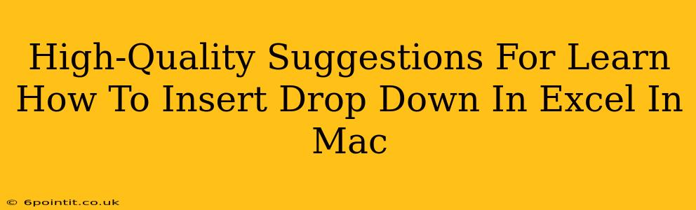 High-Quality Suggestions For Learn How To Insert Drop Down In Excel In Mac