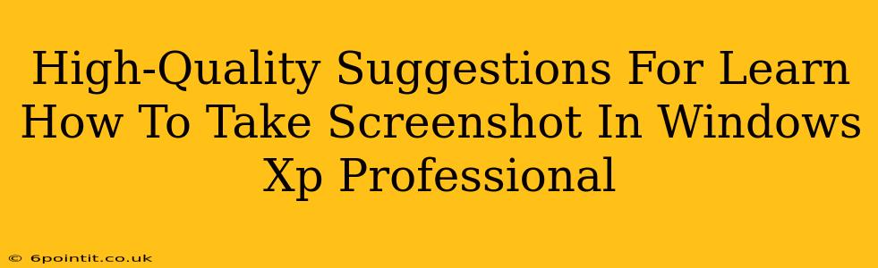 High-Quality Suggestions For Learn How To Take Screenshot In Windows Xp Professional