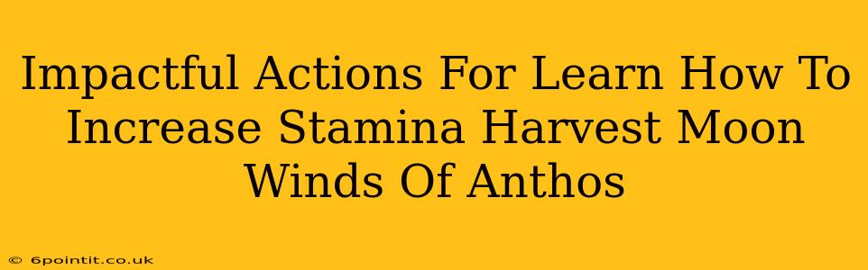 Impactful Actions For Learn How To Increase Stamina Harvest Moon Winds Of Anthos