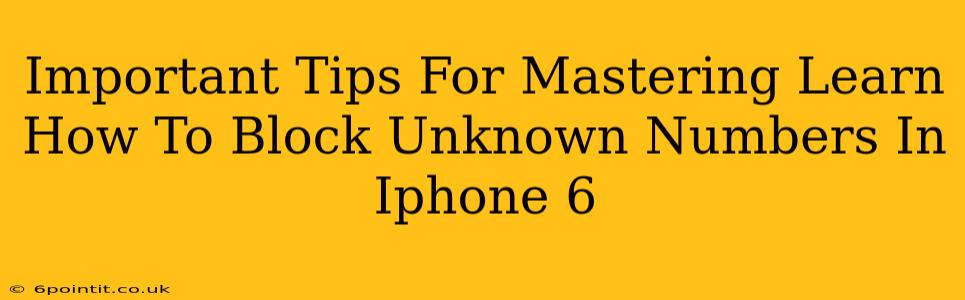 Important Tips For Mastering Learn How To Block Unknown Numbers In Iphone 6