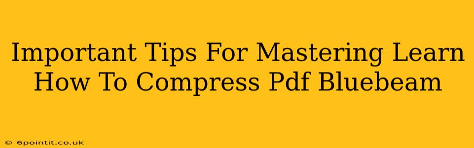 Important Tips For Mastering Learn How To Compress Pdf Bluebeam