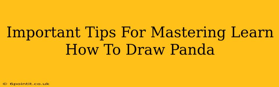 Important Tips For Mastering Learn How To Draw Panda