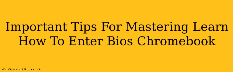 Important Tips For Mastering Learn How To Enter Bios Chromebook