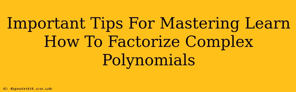 Important Tips For Mastering Learn How To Factorize Complex Polynomials