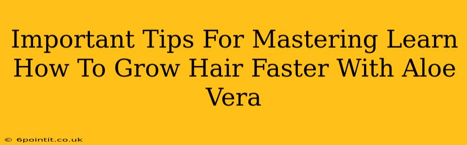 Important Tips For Mastering Learn How To Grow Hair Faster With Aloe Vera