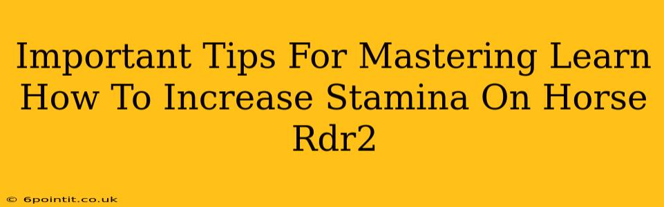 Important Tips For Mastering Learn How To Increase Stamina On Horse Rdr2