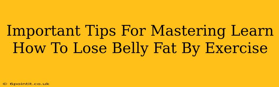 Important Tips For Mastering Learn How To Lose Belly Fat By Exercise