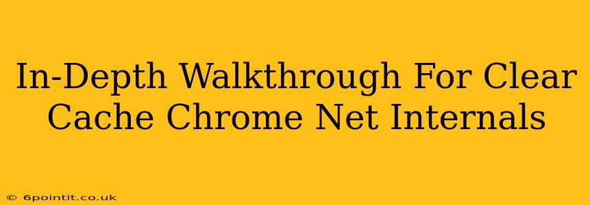 In-Depth Walkthrough For Clear Cache Chrome Net Internals