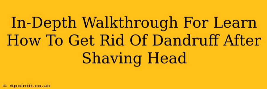 In-Depth Walkthrough For Learn How To Get Rid Of Dandruff After Shaving Head