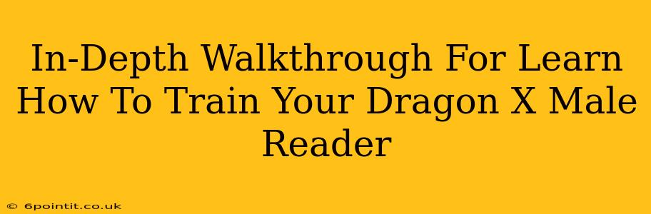 In-Depth Walkthrough For Learn How To Train Your Dragon X Male Reader