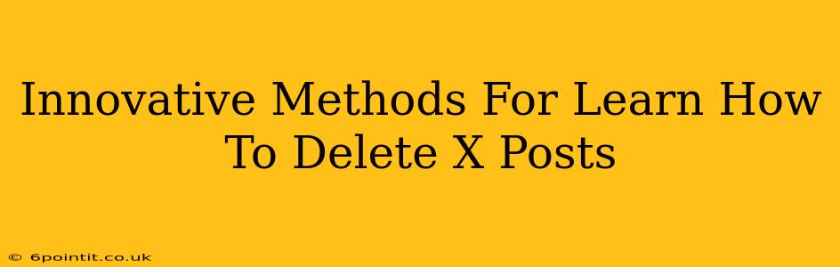 Innovative Methods For Learn How To Delete X Posts