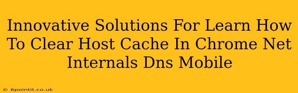 Innovative Solutions For Learn How To Clear Host Cache In Chrome Net Internals Dns Mobile