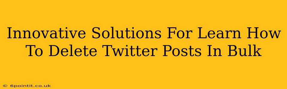 Innovative Solutions For Learn How To Delete Twitter Posts In Bulk