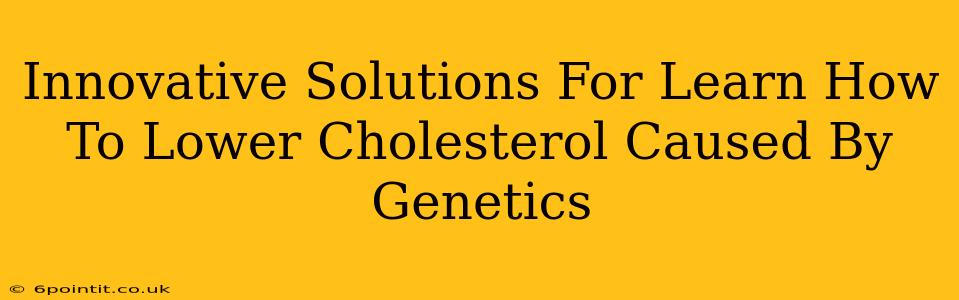 Innovative Solutions For Learn How To Lower Cholesterol Caused By Genetics