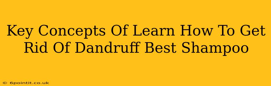 Key Concepts Of Learn How To Get Rid Of Dandruff Best Shampoo