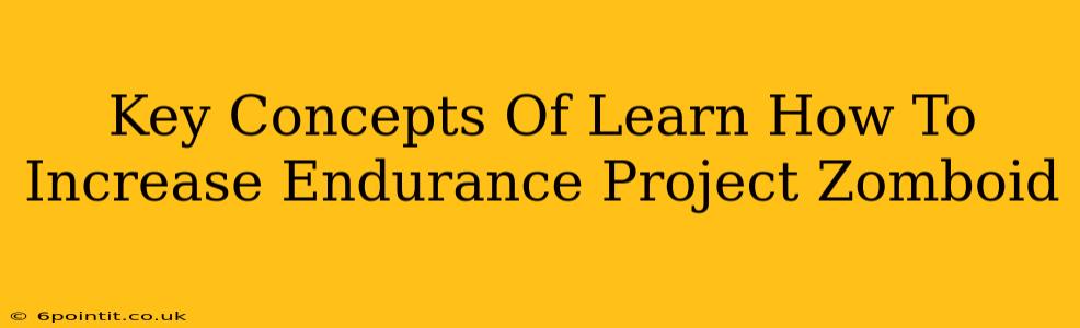 Key Concepts Of Learn How To Increase Endurance Project Zomboid