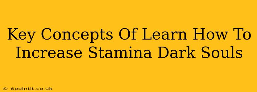 Key Concepts Of Learn How To Increase Stamina Dark Souls