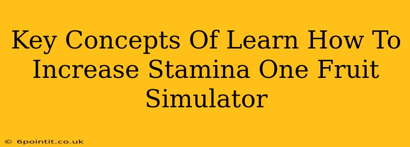 Key Concepts Of Learn How To Increase Stamina One Fruit Simulator