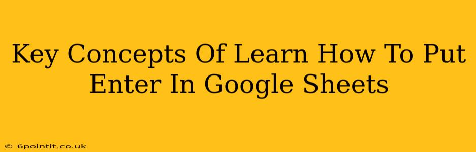 Key Concepts Of Learn How To Put Enter In Google Sheets