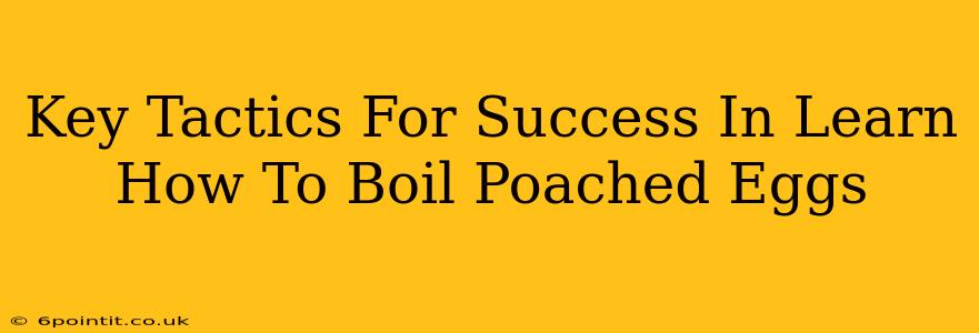 Key Tactics For Success In Learn How To Boil Poached Eggs