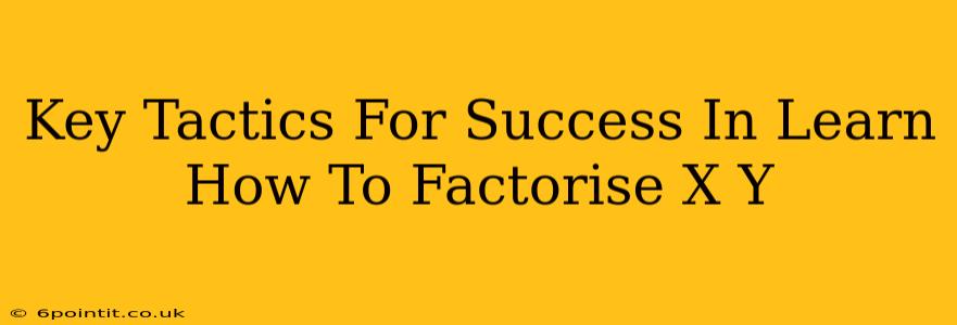 Key Tactics For Success In Learn How To Factorise X Y