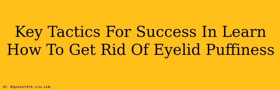 Key Tactics For Success In Learn How To Get Rid Of Eyelid Puffiness