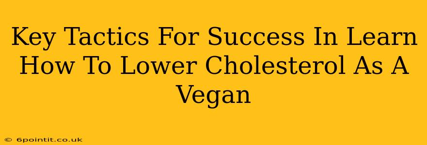 Key Tactics For Success In Learn How To Lower Cholesterol As A Vegan