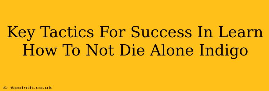 Key Tactics For Success In Learn How To Not Die Alone Indigo