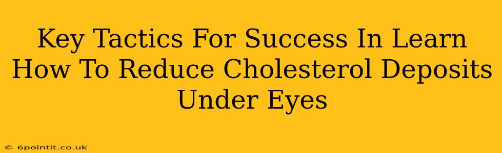 Key Tactics For Success In Learn How To Reduce Cholesterol Deposits Under Eyes