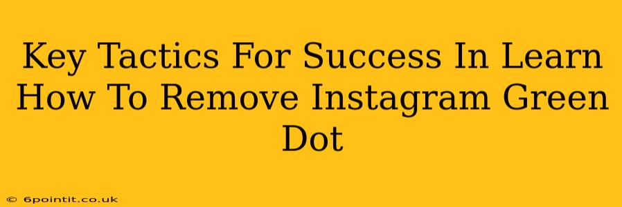 Key Tactics For Success In Learn How To Remove Instagram Green Dot