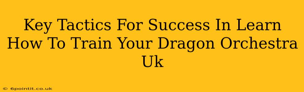 Key Tactics For Success In Learn How To Train Your Dragon Orchestra Uk