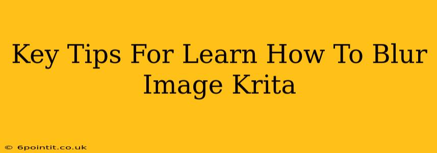 Key Tips For Learn How To Blur Image Krita