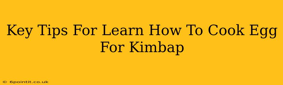 Key Tips For Learn How To Cook Egg For Kimbap