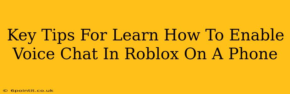 Key Tips For Learn How To Enable Voice Chat In Roblox On A Phone