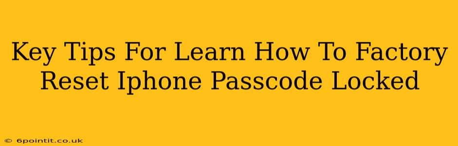 Key Tips For Learn How To Factory Reset Iphone Passcode Locked