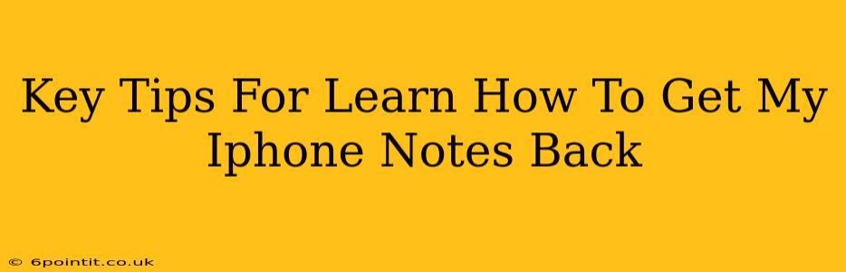 Key Tips For Learn How To Get My Iphone Notes Back